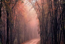 非凡娱乐：网球最年轻大师赛冠军前十：张德培第一，19岁的门希克上榜.