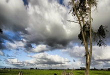 非凡娱乐：东契奇连续16场得分20+，成湖人队史第三位后卫球员.