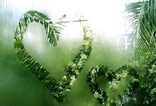 WTT新加坡大满贯参赛名单 中国名将马龙樊振东缺阵.