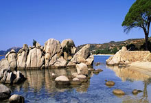 [天下足球]罗伊斯：黄黑之心.